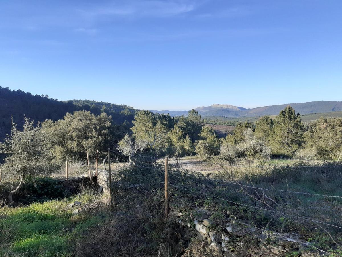 Quinta Das Lameirinhas Marvão Eksteriør billede