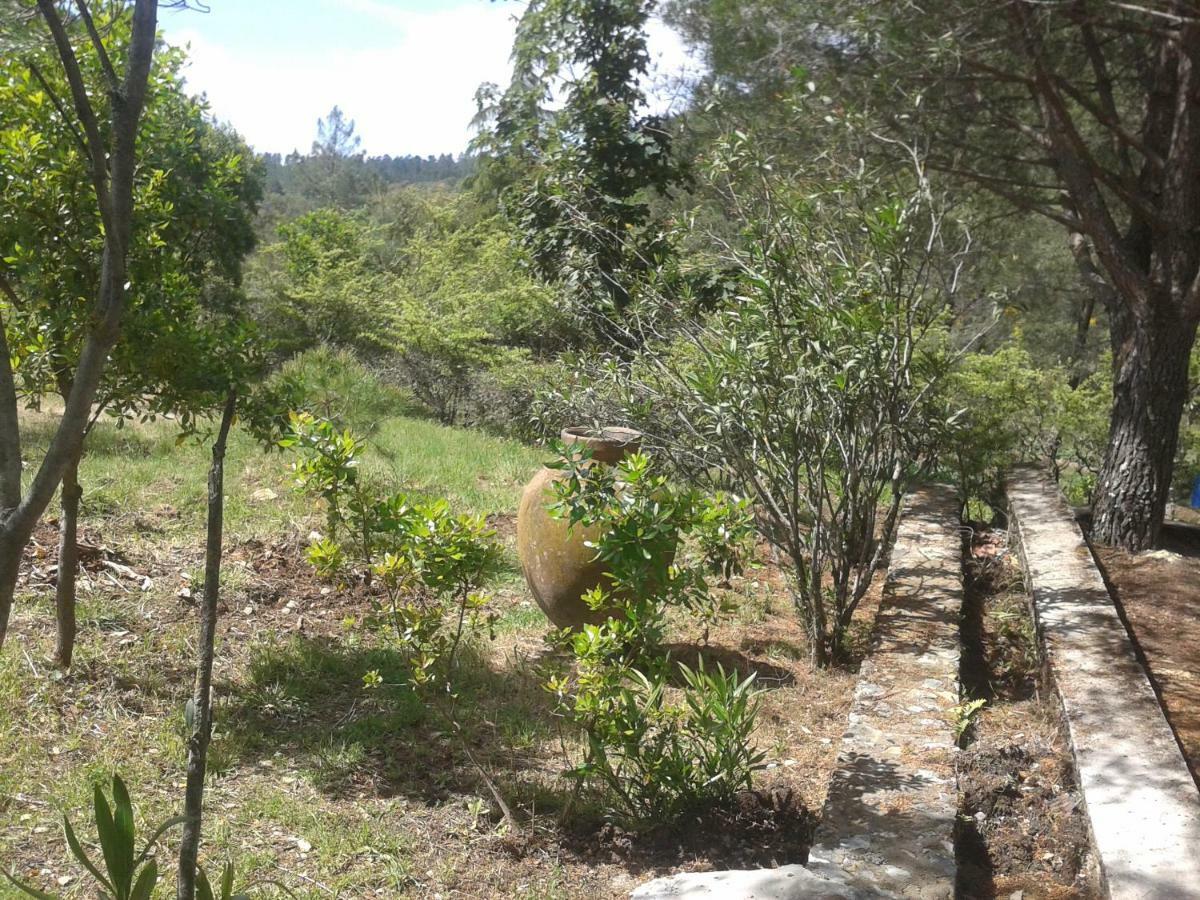 Quinta Das Lameirinhas Marvão Eksteriør billede