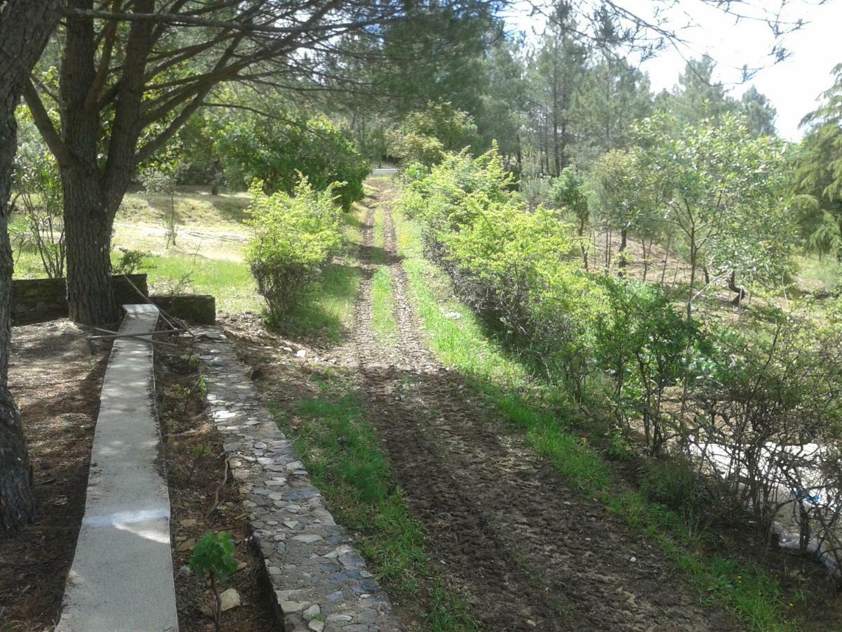 Quinta Das Lameirinhas Marvão Eksteriør billede